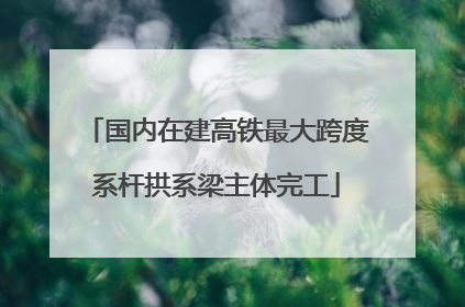 国内在建高铁最大跨度系杆拱系梁主体完工
